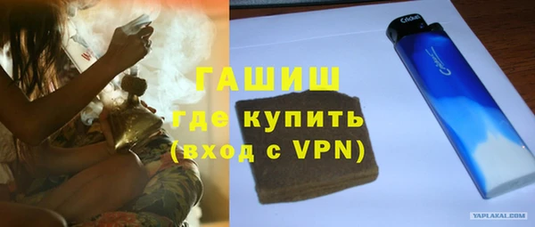 гашик Алексин
