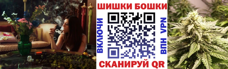 Бошки Шишки SATIVA & INDICA  как найти закладки  Ардатов 